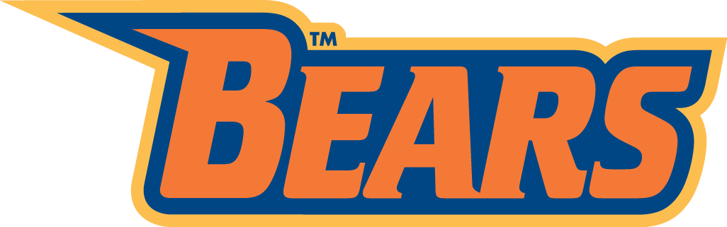 Morgan State Bears 2002-Pres Wordmark Logo v4 diy iron on heat transfer